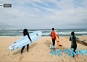 YTN 양양군 서핑 홍보영상